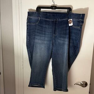 Lane Bryant Dark Blue Pull on Jegging Pedal Mid Rise